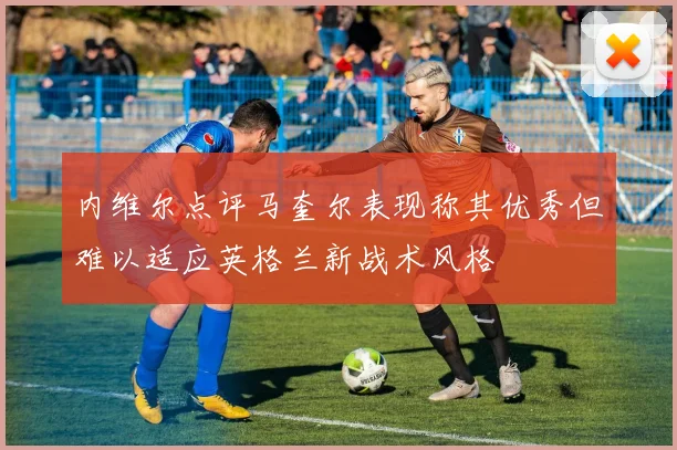 内维尔点评马奎尔表现称其优秀但难以适应英格兰新战术风格